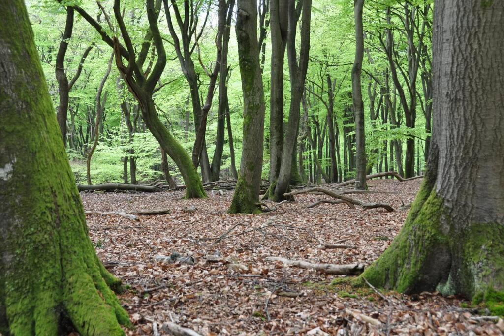 Op Boszicht Genieten Van De Rust & Natuur Пюттен Экстерьер фото
